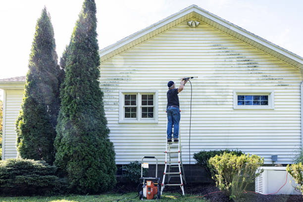 Best Graffiti Removal  in Buffalo, OK